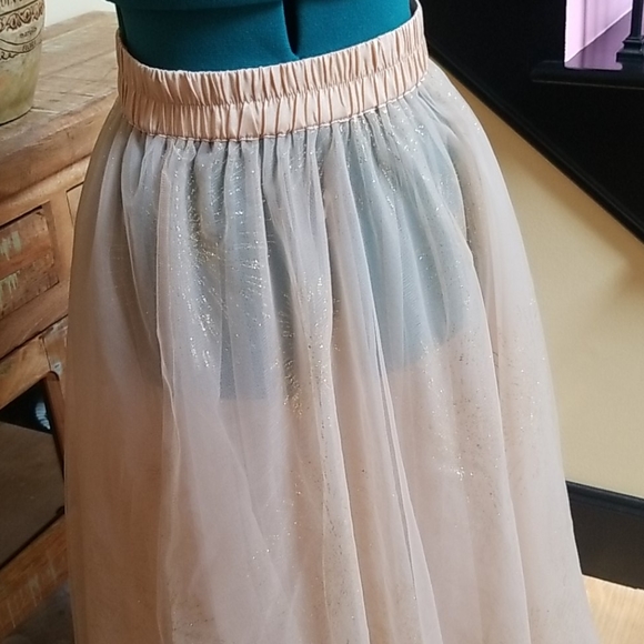 Forever 21 Sheer Glittery Maxi Skirt - SZ S - Picture 3 of 6